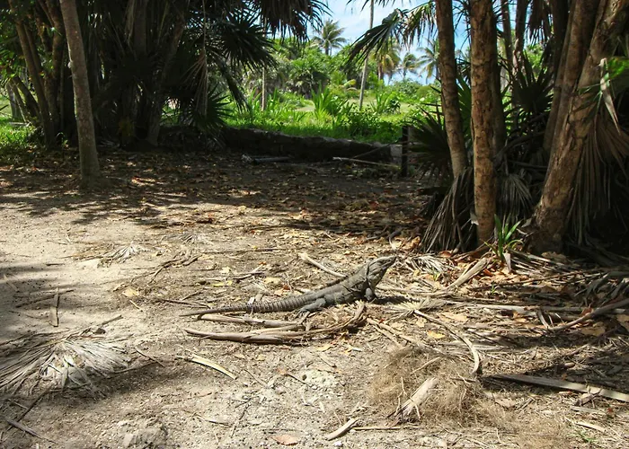 Blue Vistas 226 At Bungalows Village, Aldea Zama * Tulum